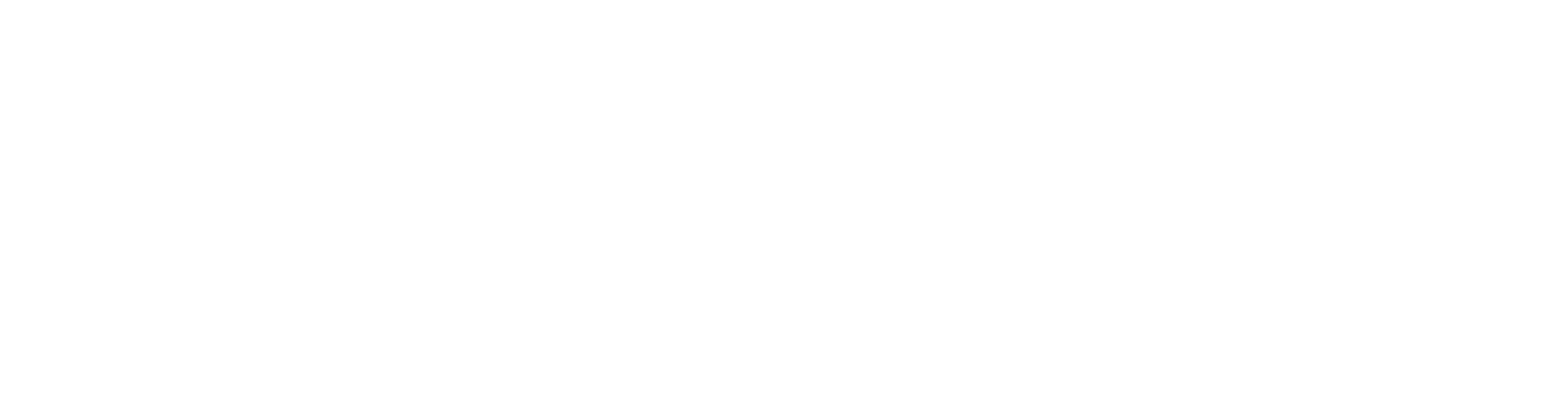 AmazonPVStore Logo